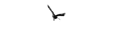 Logotipo de Sergio ALbarran